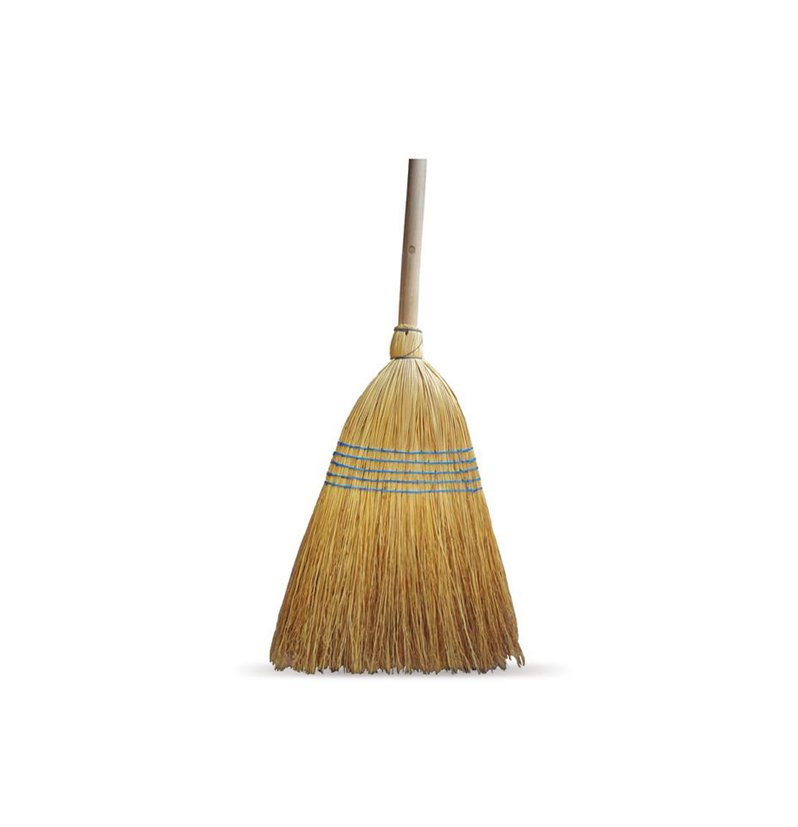 Sarı Süpürge Saplı